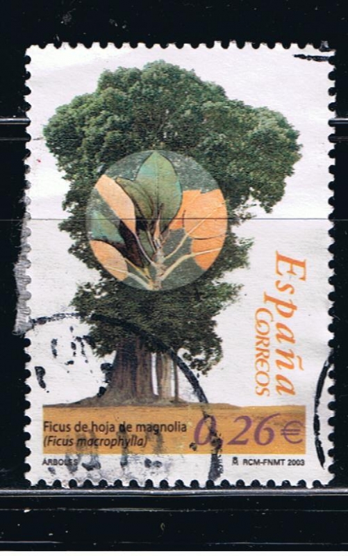 España  Arboles.  