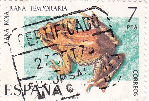 Rana Temporaria-FAUNA HISPÁNICA  (y)