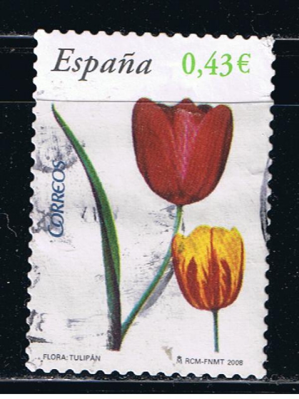 España  Flora y Fauna.  