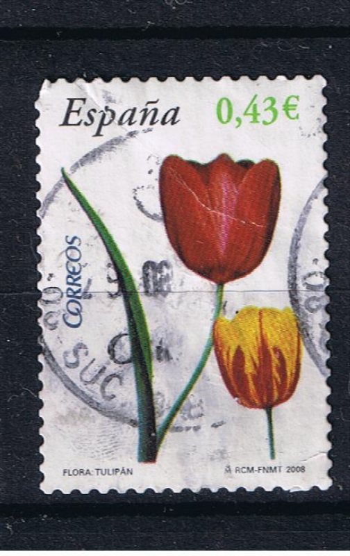 España  Flora y Fauna.  