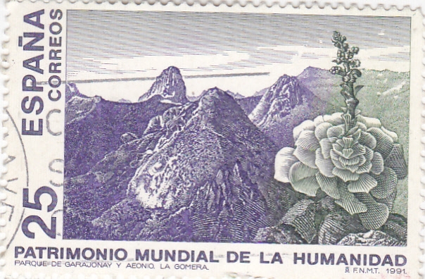 Patrimonio Mundial de la Humanidad-Parque de Garajonay y Aeonio. La Gomera   (Y) 