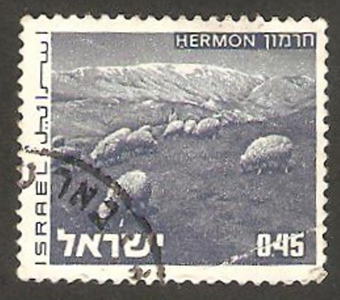 464 - Monte Hermon