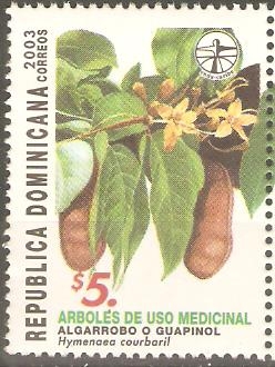 HYMENAEA  COURBARIL  PLANTA  MEDICINAL