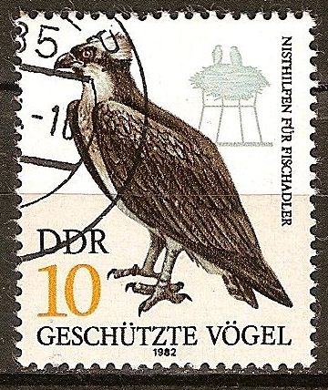 Aves Protegidas- Águila pescadora DDR.