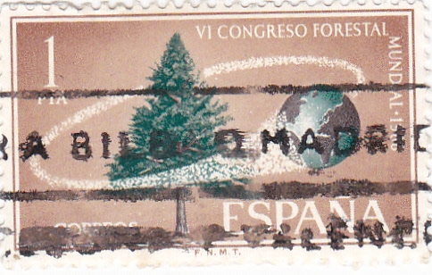 VI Congreso Forestal Mundial   (Y)
