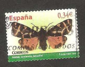 Mariposa, artimelia latreillei