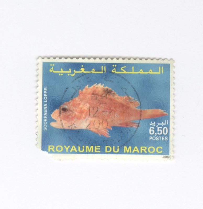 Reino de Marruecos