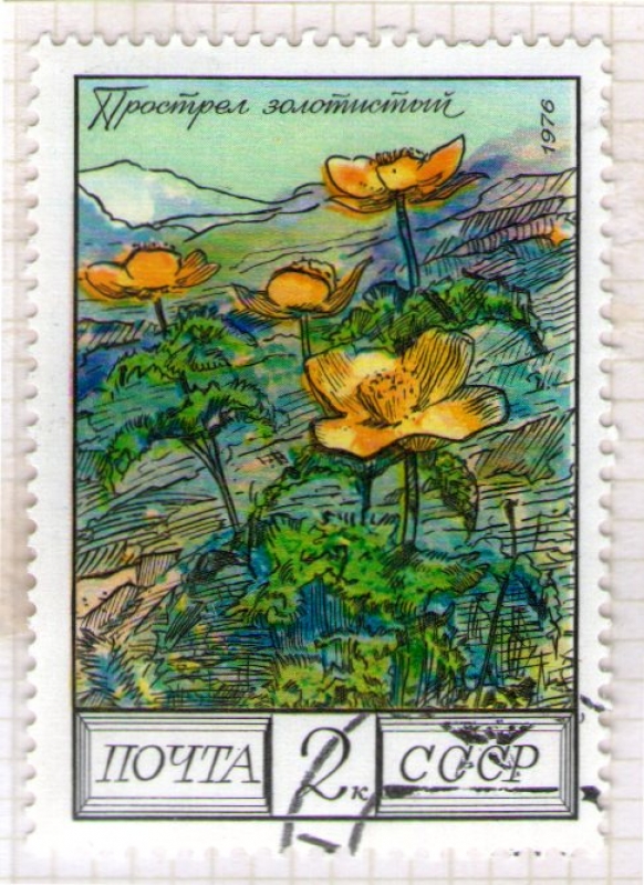 112 Flora