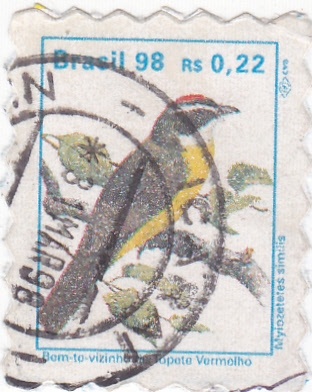 MYLOZETETES SIMILIS