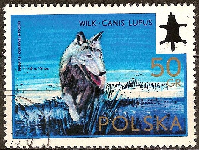 Congreso Internacional de Caza y el Consejo de 50 Aniv de la Asociación Polaca de Caza (Lobo).