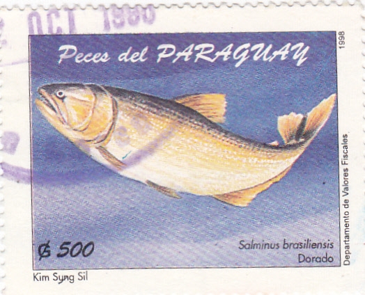 PECES DEL PARAGUAY- DORADO