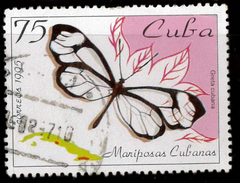 mariposas cubanas