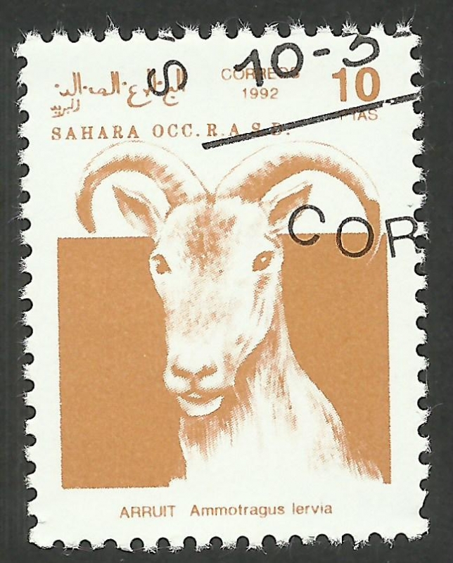 Fauna, Arruit