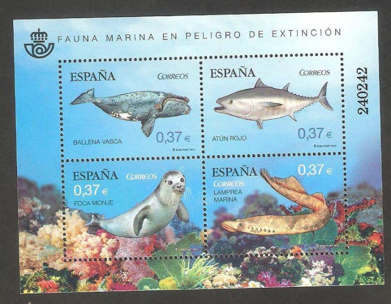 Fauna marina en peligro de extinción