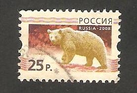 7063 - Un oso
