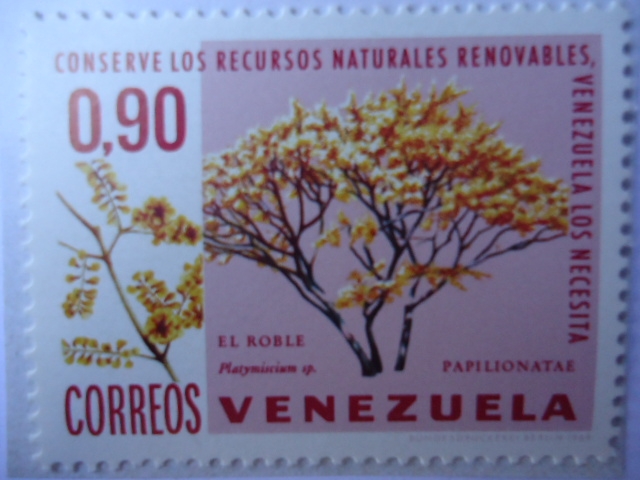 Conserve los Recursos Naturaleas Renovables,Venezuela los necesita-¨El Roble¨-Papilionatae
