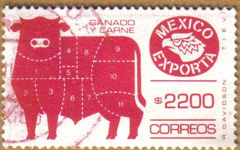 Mexico Exporta