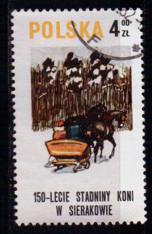 150º aniv. ganadería de Sierakowie