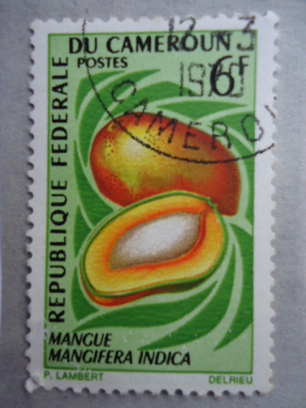 Republique Federale du Cameroun- Mangifera Indica- Mangue