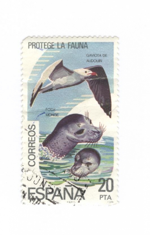 Edifil 2473. Protege la fauna