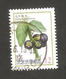 3432 - Solanum americanum