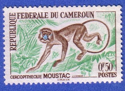Cercopitheque Moustac