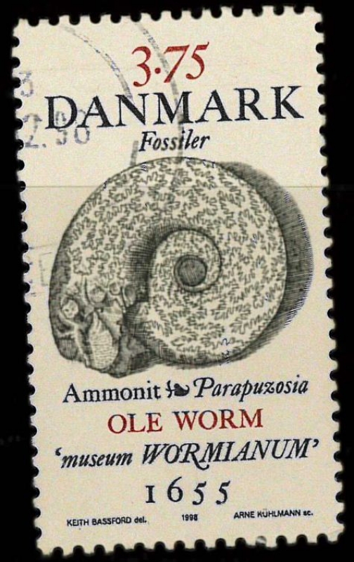 fosil, Museo Wormianum