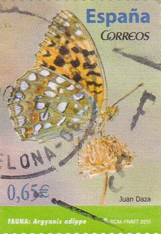 Mariposa- Argynnis adippe  (3)