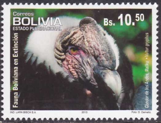 Fauna boliviana en extincion