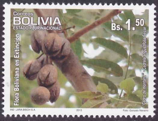 Flora boliviana en extincion