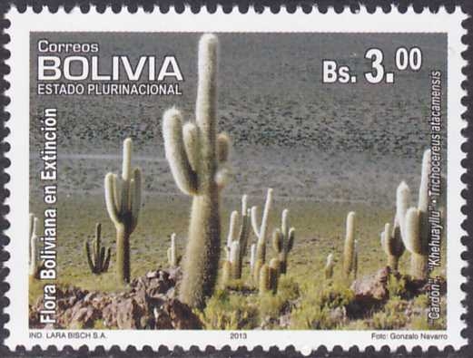 Flora boliviana en extincion