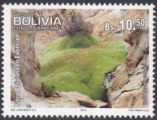 Flora boliviana en extincion