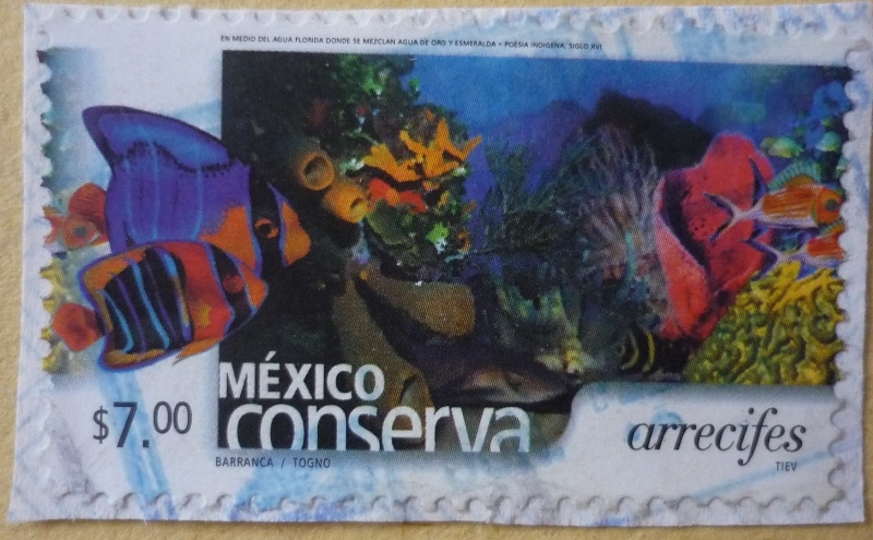 México conserva - arrecifes (repetido)