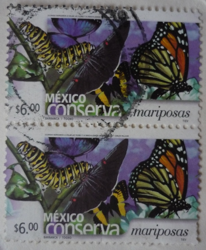 México conserva - mariposas (repetido))