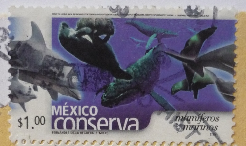 México conserva - mamíferos marinos