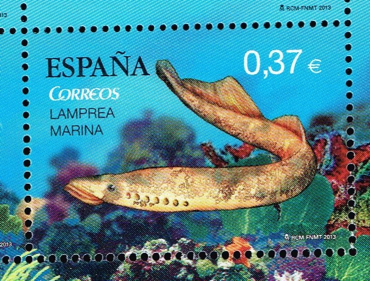 Edifil  4799 D  Fauna Marina en peligro de extinción.  