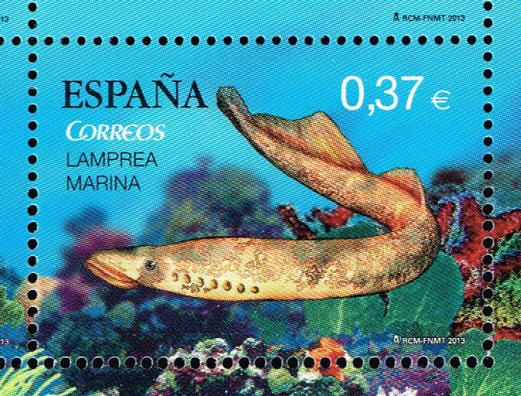 Edifil  4799 D  Fauna Marina en peligro de extinción.  