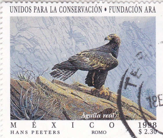 Unidos para la Conservación-Fundación Ara- Aguila Real