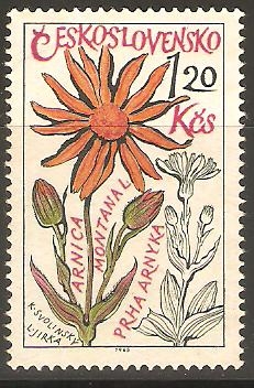 ARNICA   MONTANAL.   PLANTA   MEDICINAL