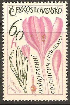 COLCHICUM   AUTUMNALE.   PLANTA   MEDICINAL