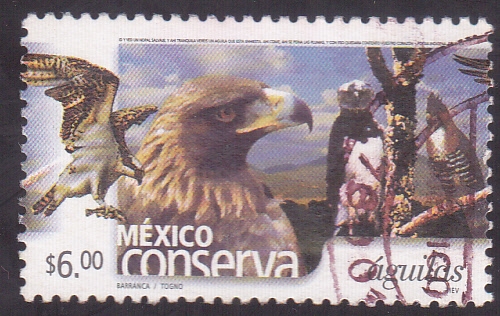 México Conserva- Aguilas