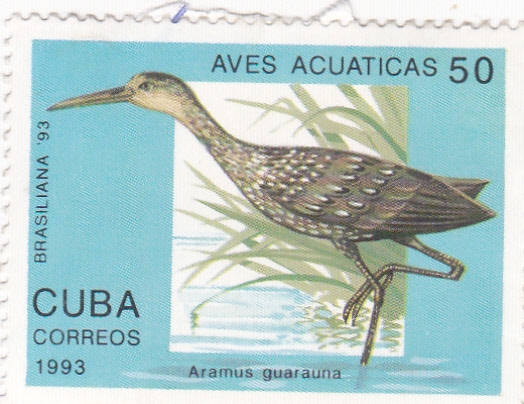 Aves Acuáticas- Aramus guarauna