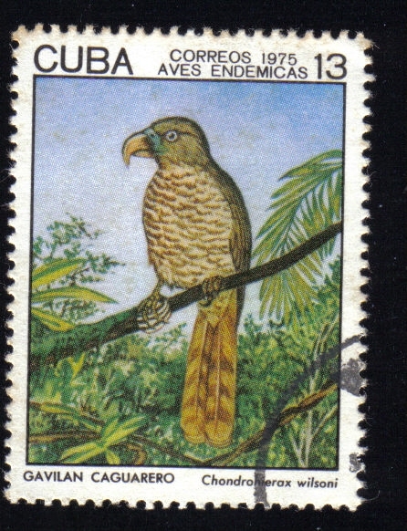 Aves Endemicas