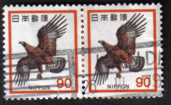 Japanese Golden Eagle (Aquila chrysaetos japonica)