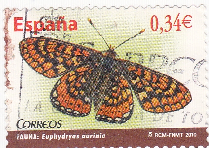 Mariposa  (4)