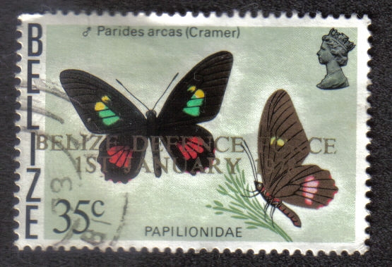 Parides Arcas