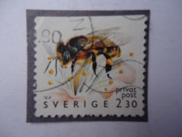 Suecia - Sverige-¨Abeja¨