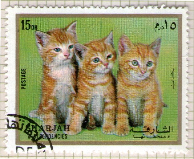 54  SHARJAH