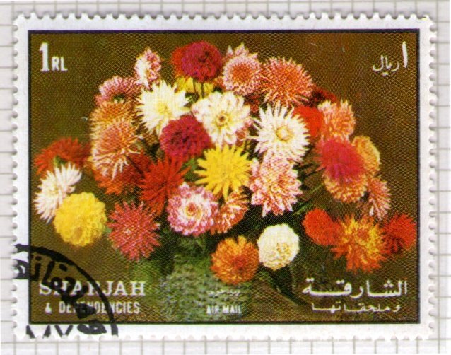 73  SHARJAH. Adorno floral