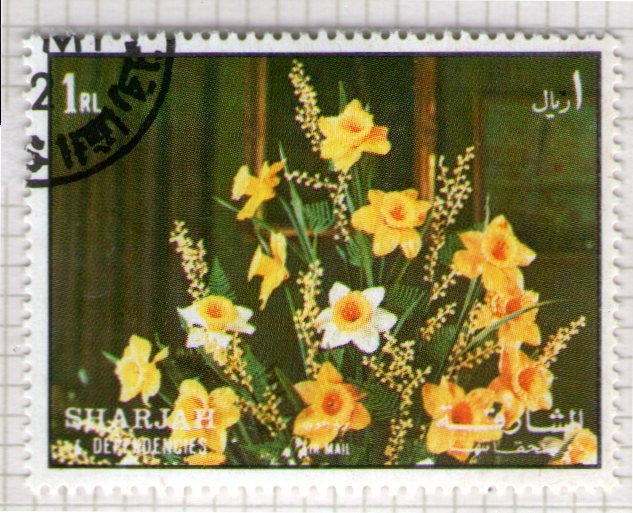 75  SHARJAH. Adorno floral